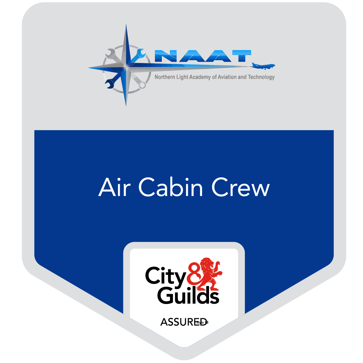 Assured International Diploma in Air Cabin Crew